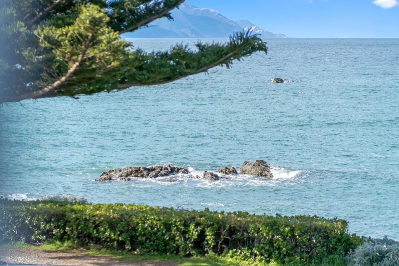 Kaikoura Waterfront Apartments Kültér fotó